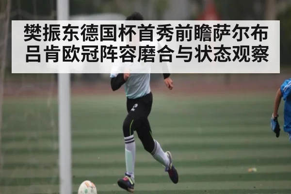 樊振东德国杯首秀前瞻萨尔布吕肯欧冠阵容磨合与状态观察